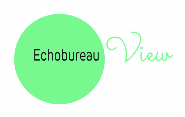 Echobureau view logo